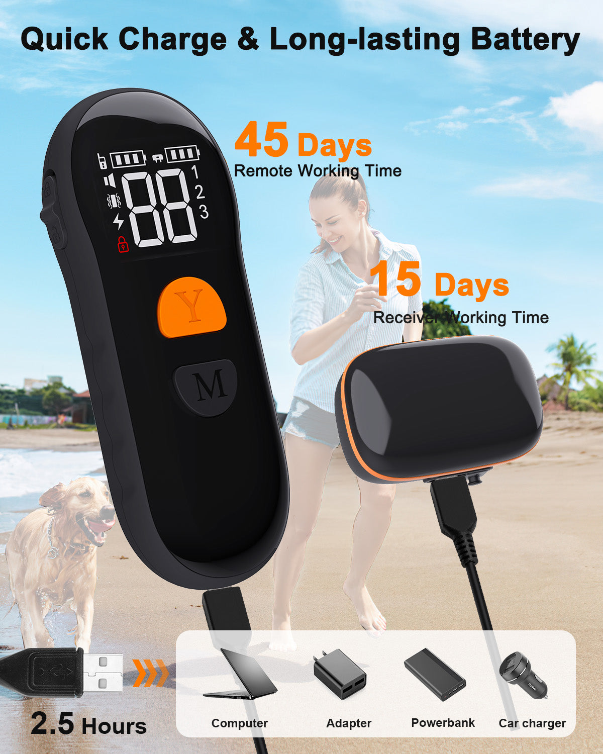 Dog Shock Collar 2 Dogs (8-120Lbs) - 2600 ft Waterproof Training Collar for Dogs Large Medium Small with Rechargeable Remote