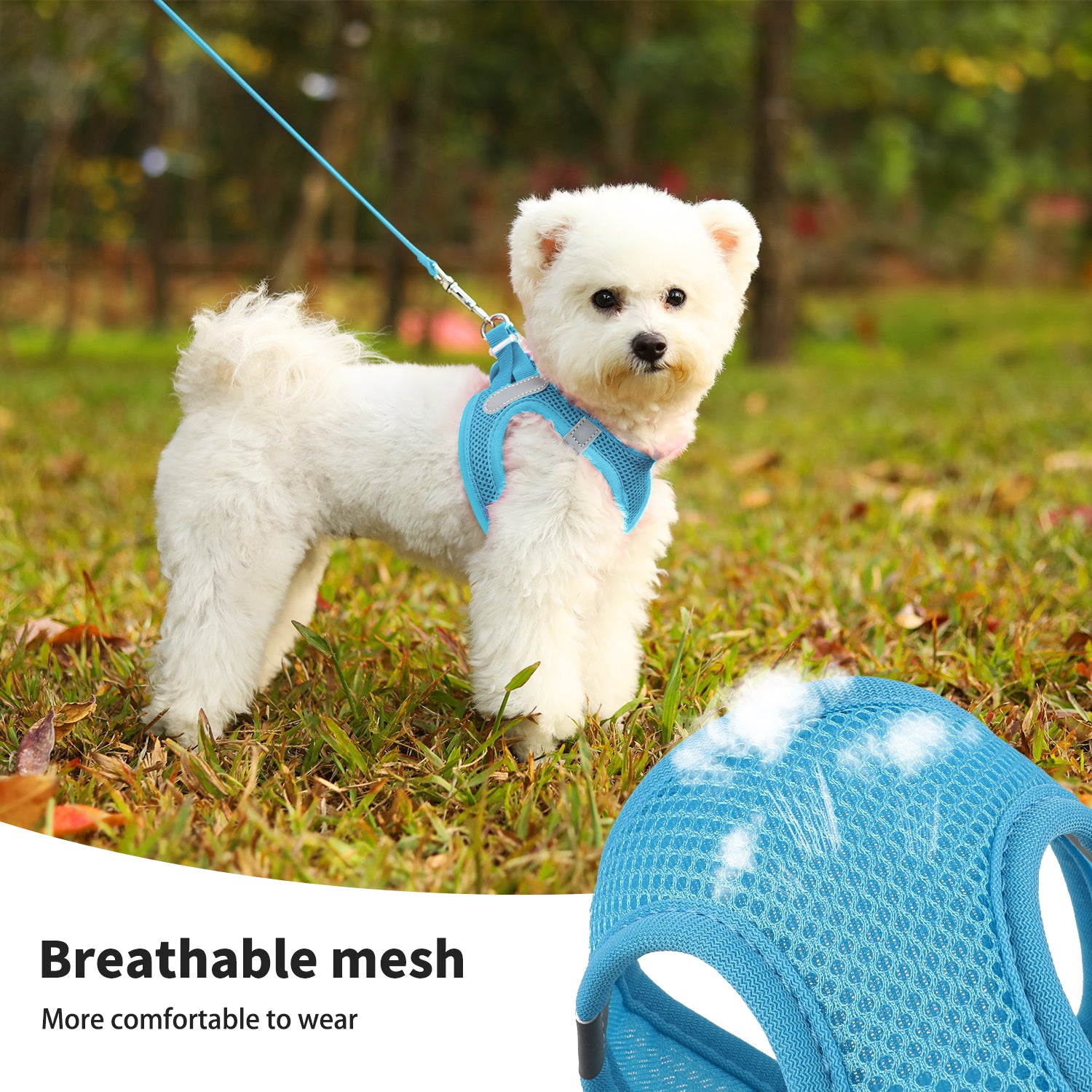 Charkool Reflective Dog Harness and Leash, Adjustable Breathable Dog Vest, Training for Extra Small Dogs