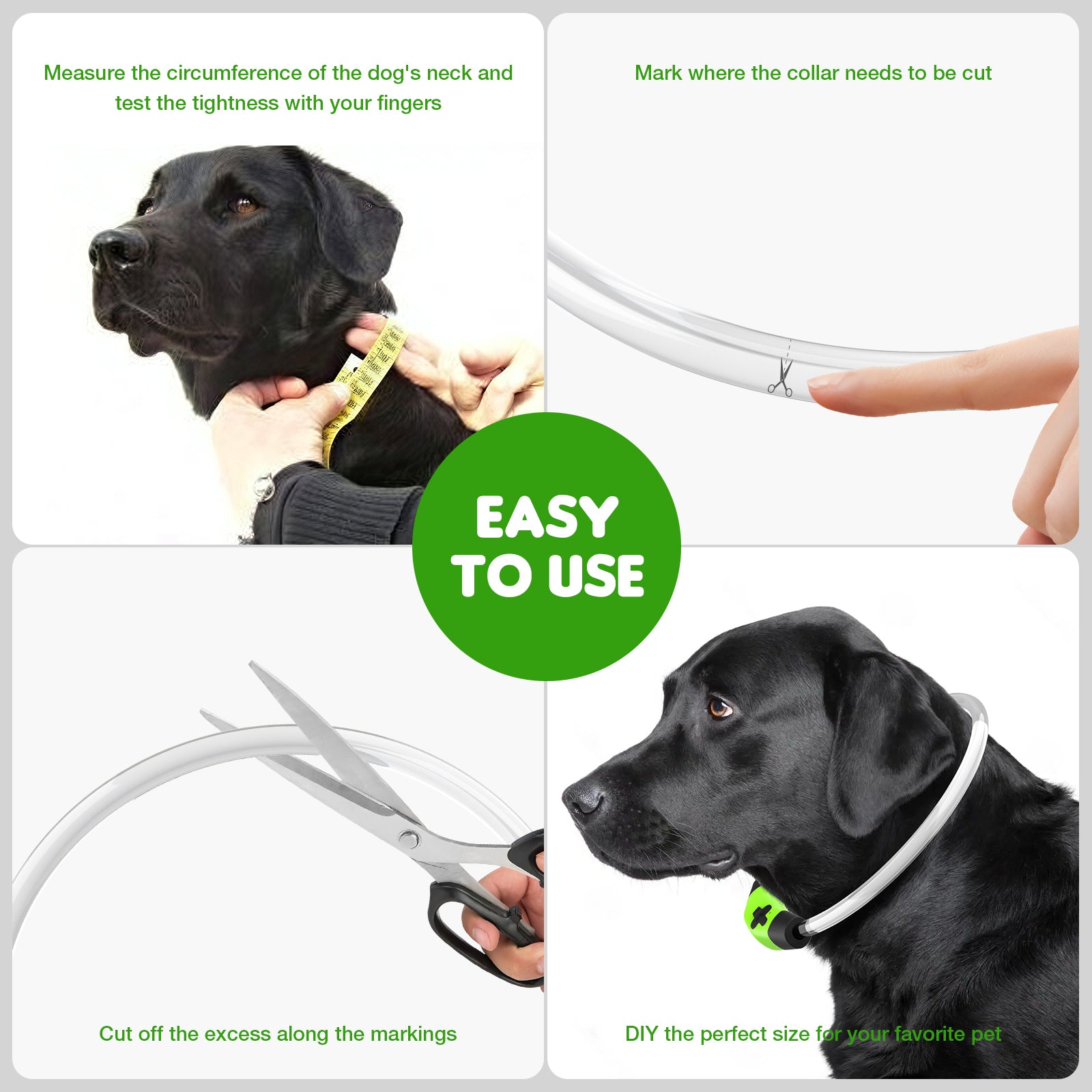 LED Dog Collar USB Rechargeable Glowing, Pet Collars Lighted Up Safety Necklace Glow in the Dark for You & Your Dogs