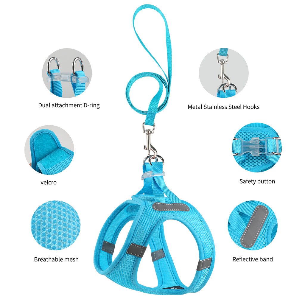 Charkool Reflective Dog Harness and Leash, Adjustable Breathable Dog Vest, Training for Extra Small Dogs