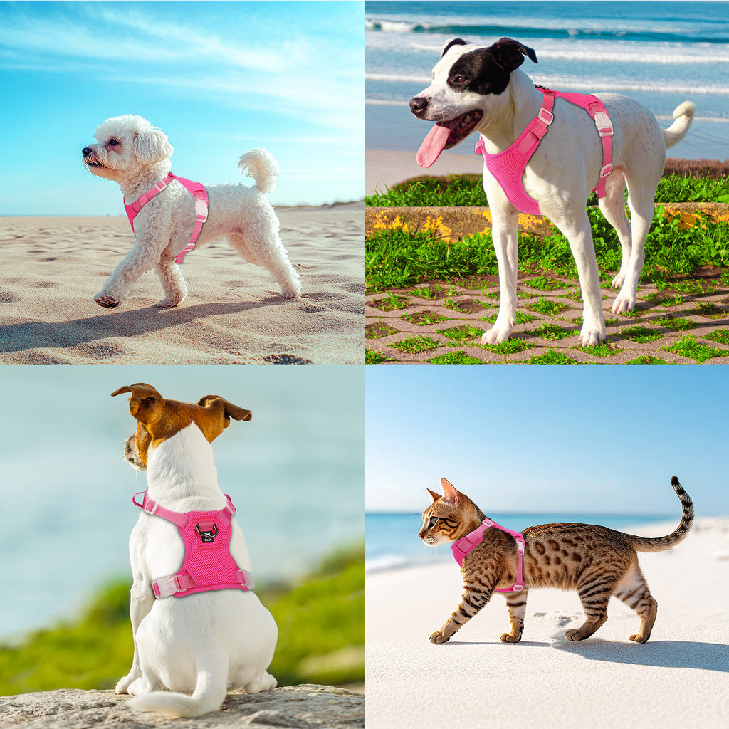 Jewyow No Pull Dog Harness, Adjustable Dog Vest with Soft Padding, Heavy Duty Dog Harness for Small, Medium, Large Dogs