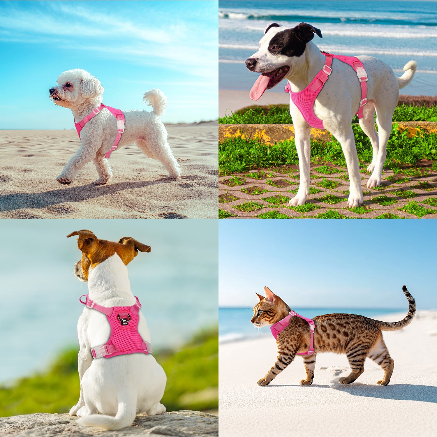 Jewyow No Pull Dog Harness, Adjustable Dog Vest with Soft Padding, Heavy Duty Dog Harness for Small, Medium, Large Dogs