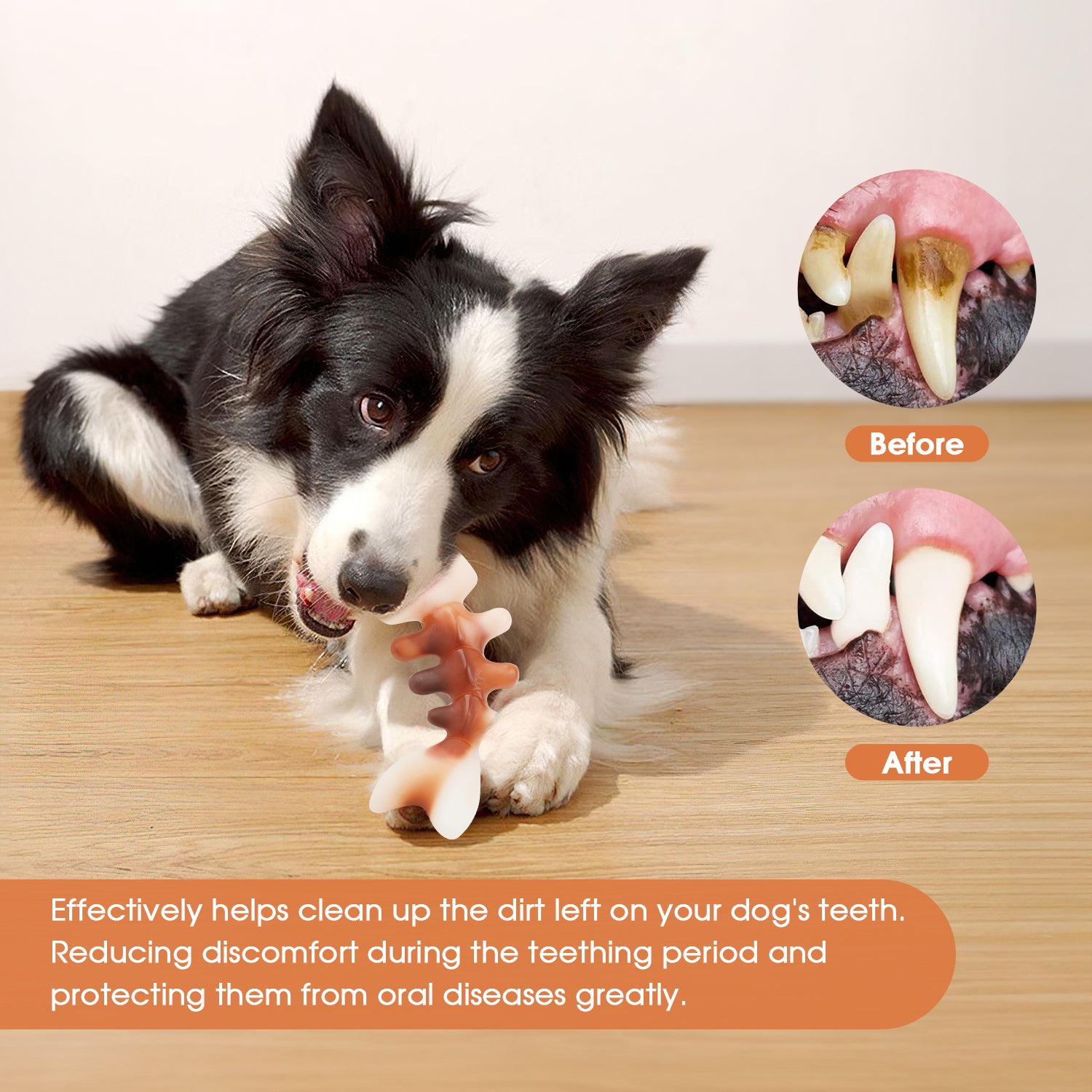 Charkool Fishbone Durable Dog Chew Toy for Aggressive Chewers, Real Fish, Nylon Pet Toys