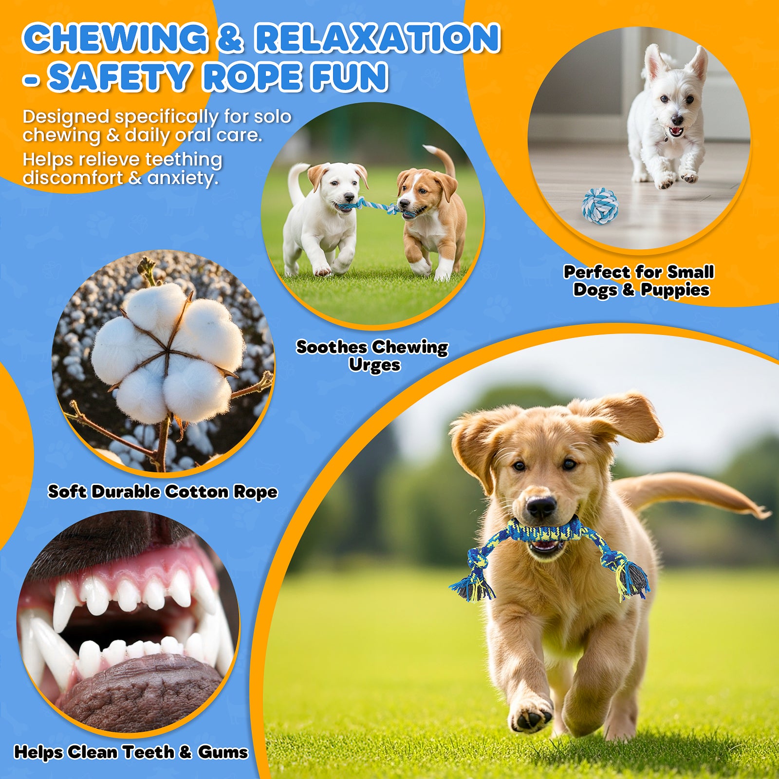 Jewyow 10-Pack Dog Toys Set for Small Dogs, Squeaky Plush Chew Toys with Ball & Rope for Puppy Teeth Cleaning, Interactive Fun and Training