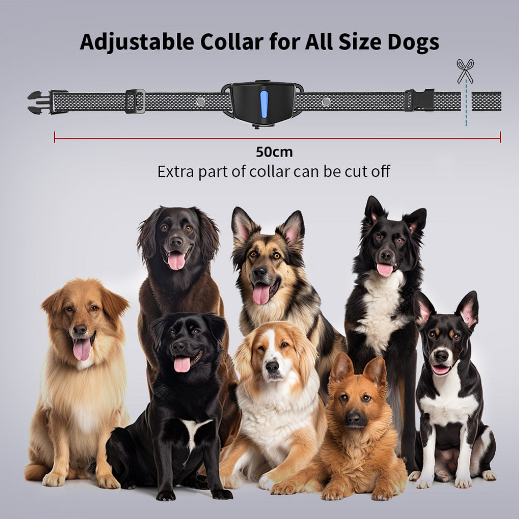 Charkool Dog Training Collars with Remote 2600ft, Smart Dog Shock Collar with 4 Training Modes and Training Icons, Waterproof Electric Dog Shockers for Large and Medium Dogs
