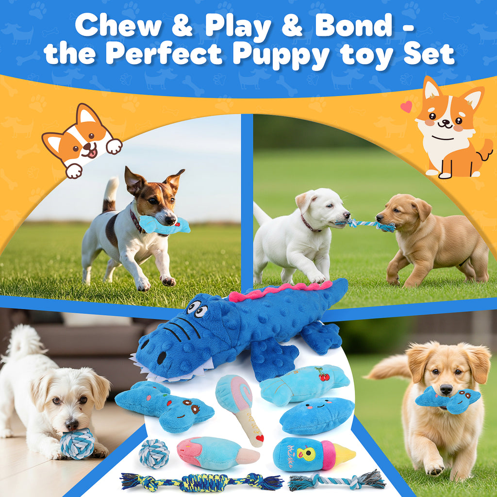 Jewyow 10-Pack Dog Toys Set for Small Dogs, Squeaky Plush Chew Toys with Ball & Rope for Puppy Teeth Cleaning, Interactive Fun and Training