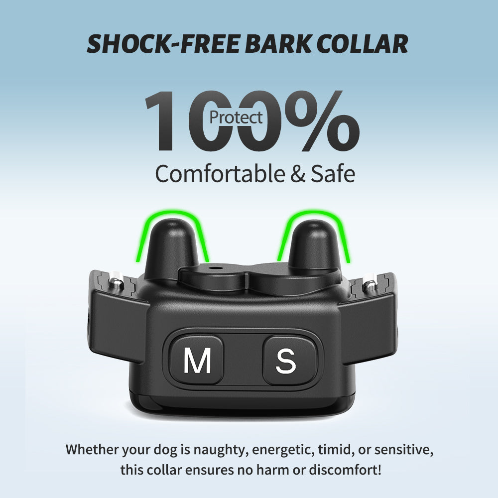 Jewyow Bark Collar for Small Dogs （6-40 lbs） - No Shock Anti Barking Collar - Rechargeable Smart Collar for Dog Training with 7 Sensitivity Levels and 3 Beep&Vibration Modes