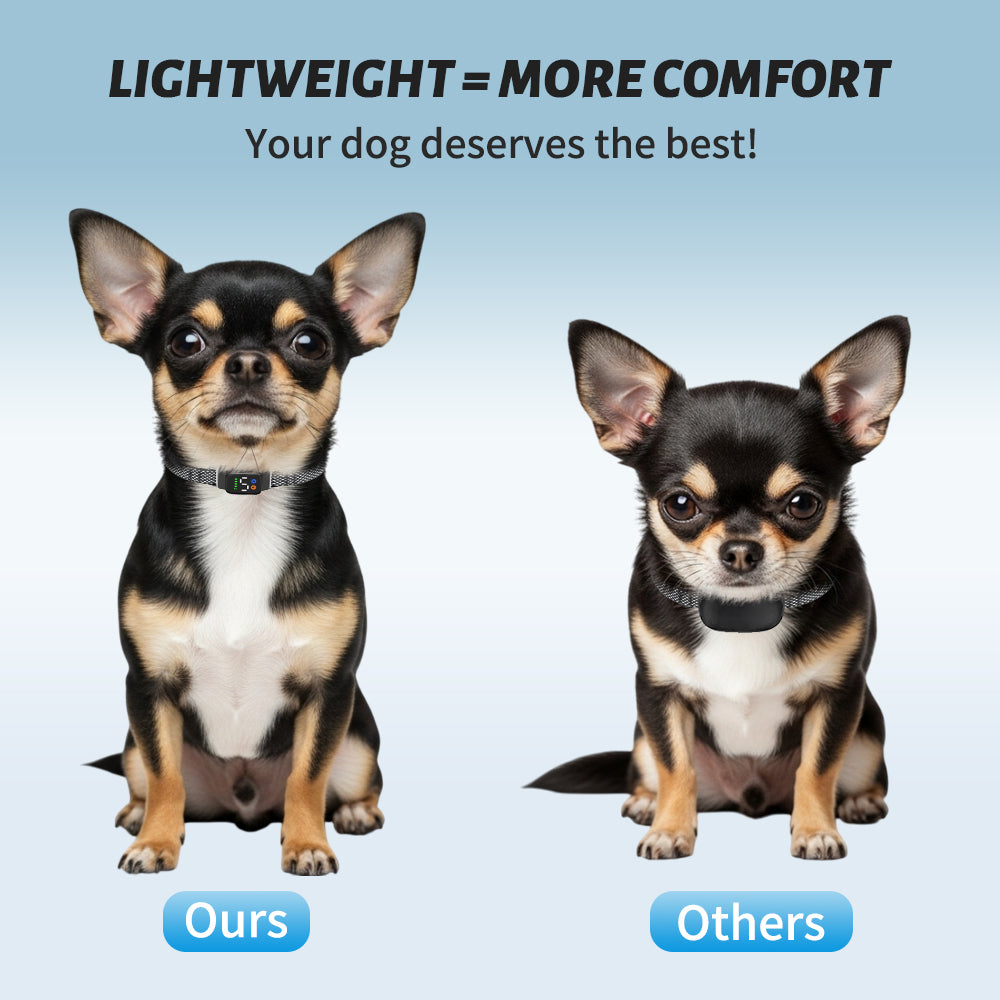 Jewyow Bark Collar for Small Dogs （6-40 lbs） - No Shock Anti Barking Collar - Rechargeable Smart Collar for Dog Training with 7 Sensitivity Levels and 3 Beep&Vibration Modes
